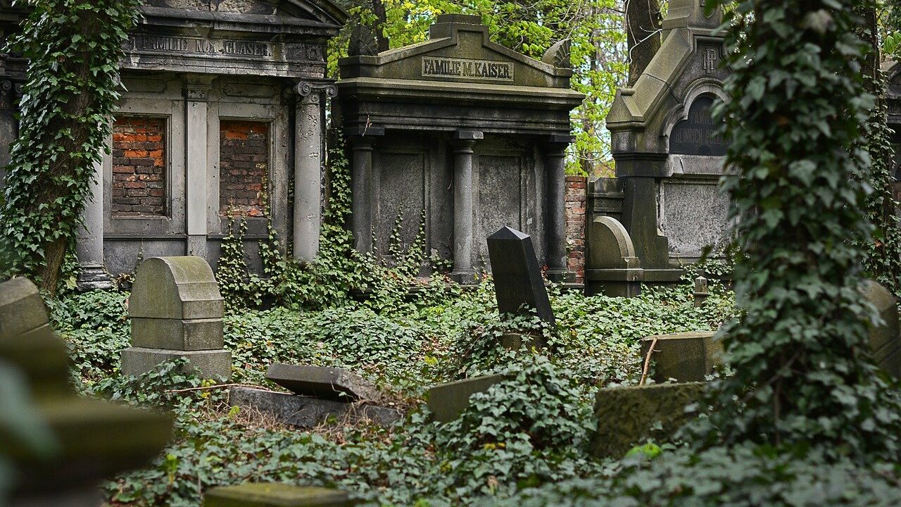 Lesko i jego zabytki cmentarz żydowski